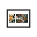 Briar Framed Print - Phoenix Artisan Accoutrements