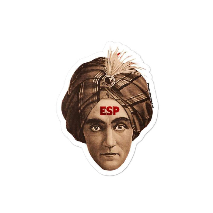 ESP BBS Vinyl Sticker | Available in 3 Sizes - Phoenix Artisan Accoutrements