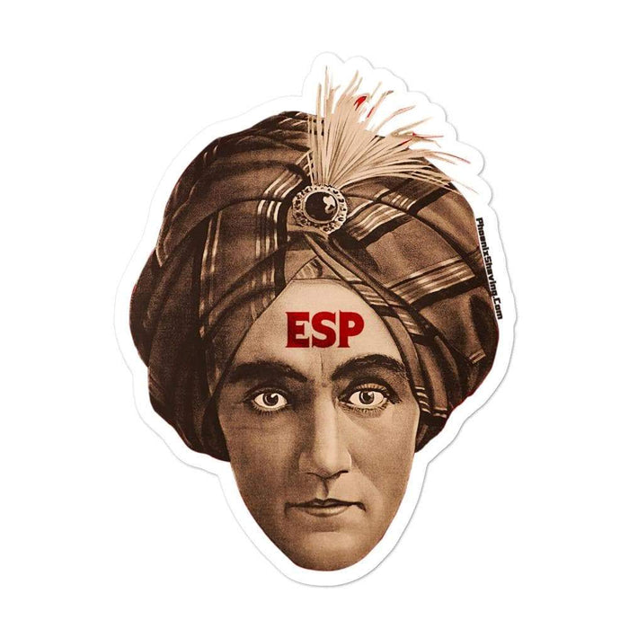 ESP BBS Vinyl Sticker | Available in 3 Sizes - Phoenix Artisan Accoutrements